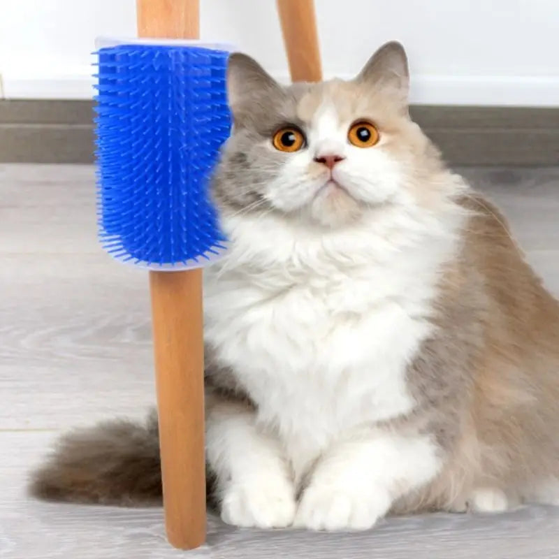 FelinTouch™ – Escova de Gato para Parede [Massageia, Remove Pelos e Diverte]